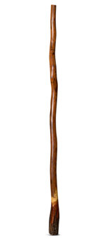 CrookedStixz Didgeridoo (AH340)